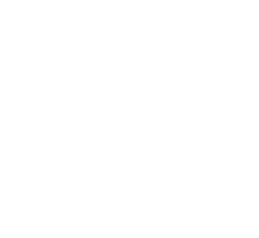 施力
